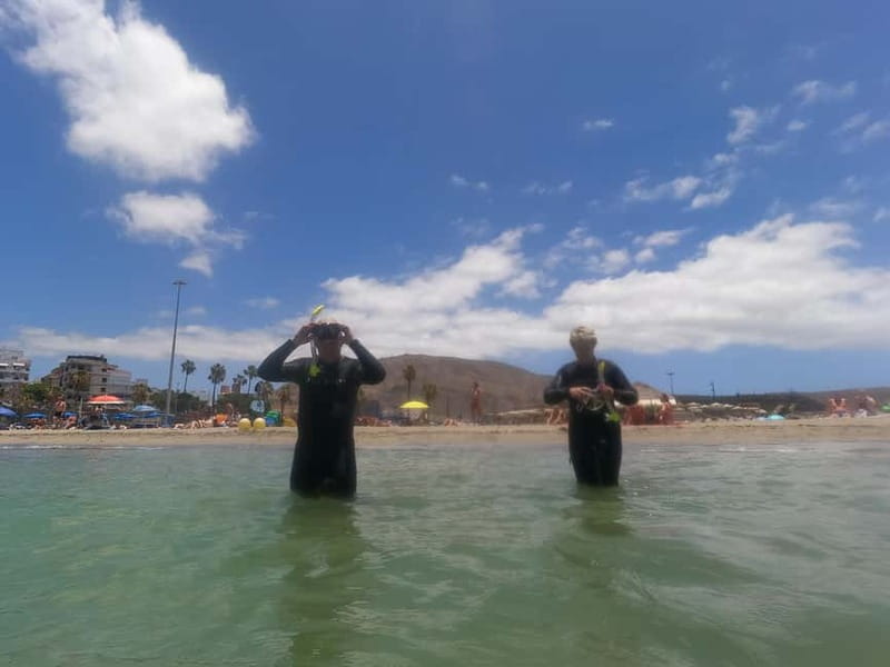 Snorkeling in tenerife south: Discover the underwater world - Safety briefing and how the guides teach you to enjoy it