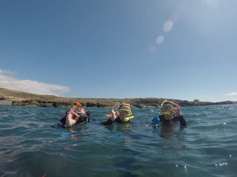 Snorkeling in tenerife south: Discover the underwater world - The time in the water: what to expect in the snorkeling area