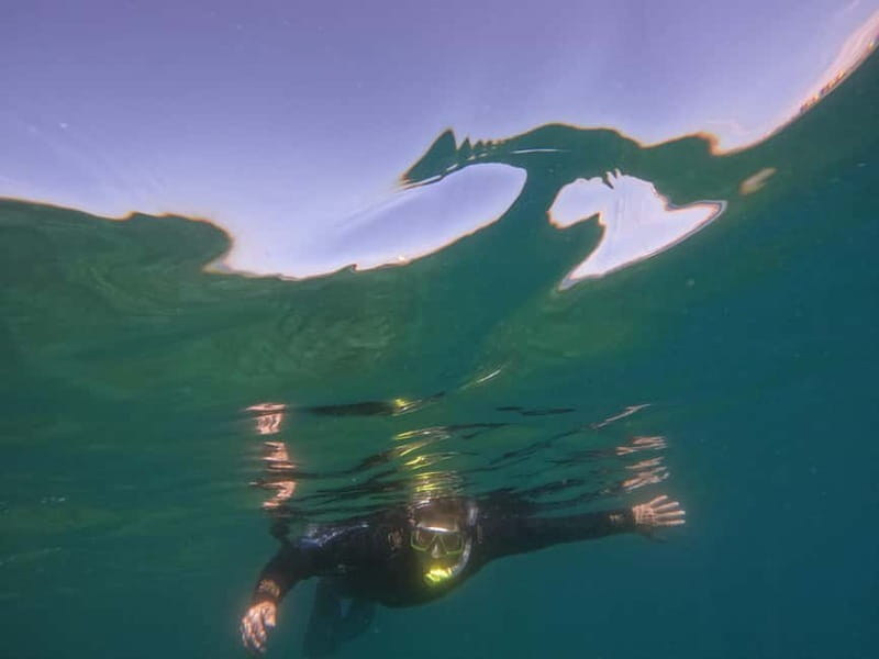 Snorkeling in tenerife south: Discover the underwater world - Stop-by-stop flow: what happens from start to finish