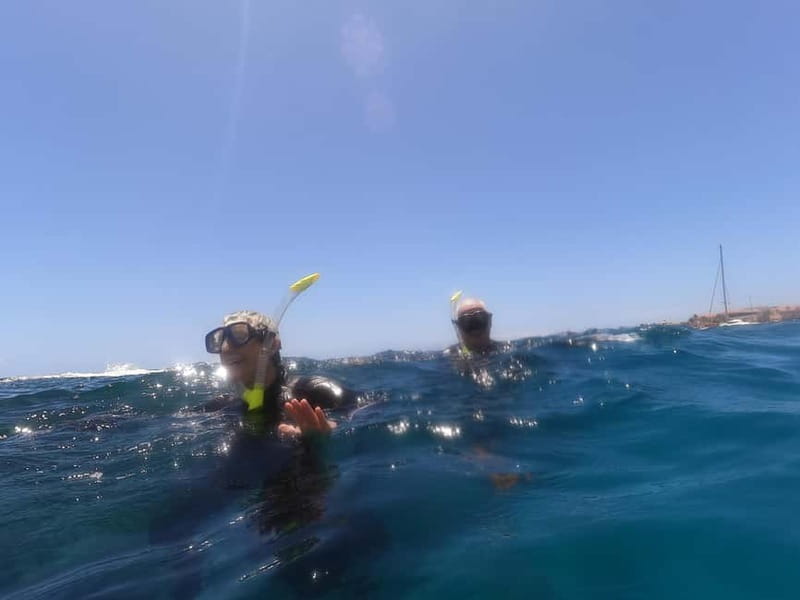 Snorkeling in tenerife south: Discover the underwater world - The gear setup: what’s included and what to pack yourself