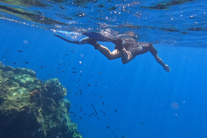 Snorkeling with a Professional Instructor in Tenerife - Debrief, Cool Drink, and Coming Back Feeling Good