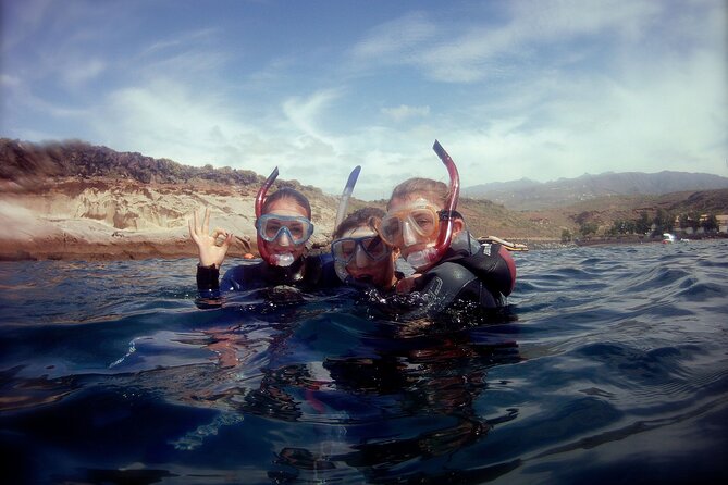 Snorkelling safari in a turtle area - Small-group snorkeling: why max 10 is more than a number