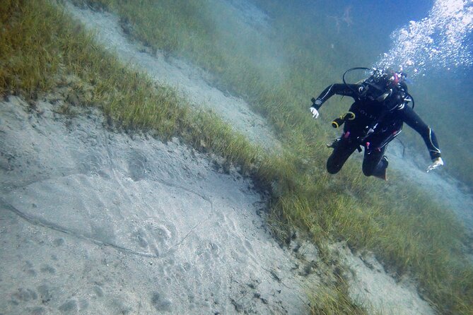 South of Tenerife : DSD Scuba Diving for beginners, Adeje - Beginner Scuba in Adeje: What You’re Really Paying For