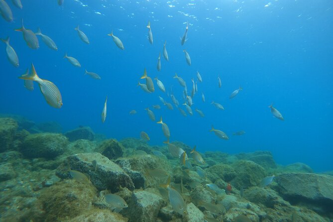 South of Tenerife : DSD Scuba Diving for beginners, Adeje - Part One on the Beach: Theory That Actually Helps