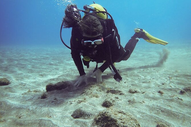 SSI basic diver In Tenerife - 2 Dives - El Médano 8:00am Setup: Where the Course Starts and How It Feels