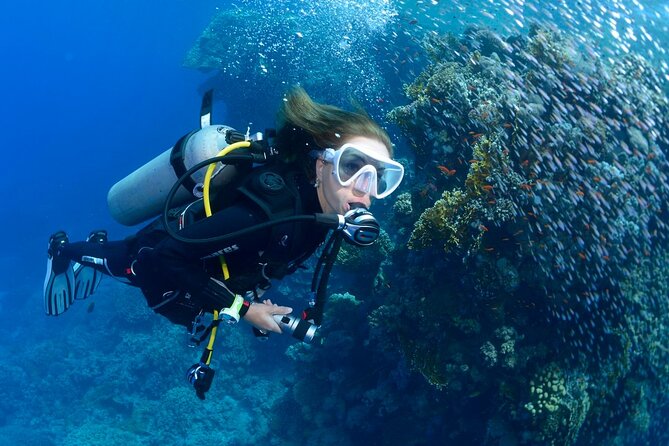 SSI Open Water Diver Course in Tenerife - Day 1: Theory plus pool sessions that build real control