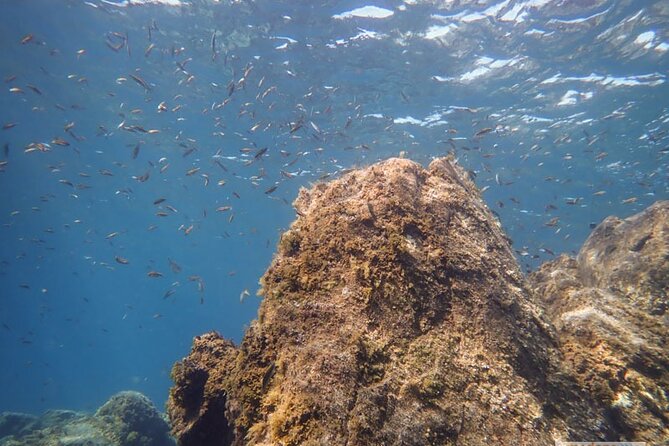 SSI Open Water, South Tenerife - Should you book Medanodive’s SSI Open Water in South Tenerife?