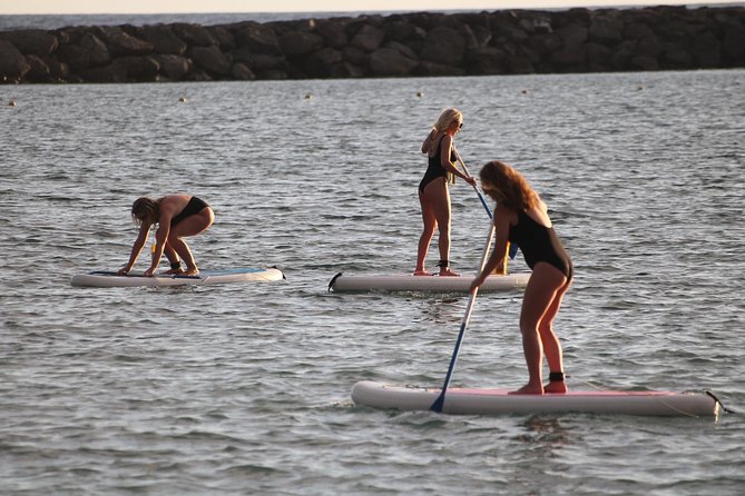 sunset stand up paddle - Price and value: is $32.47 per person worth it?