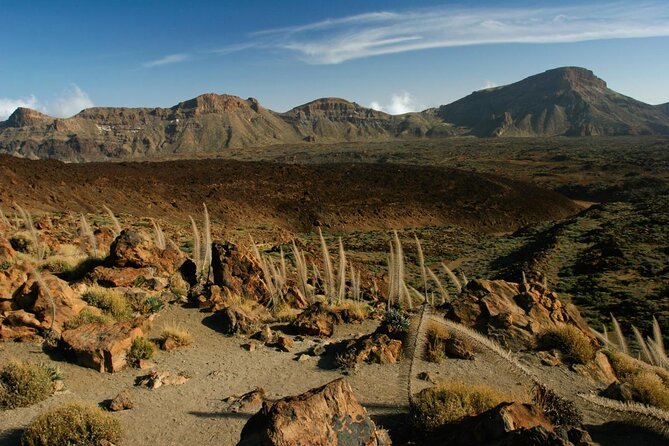 Teide 1/2 Day - Teide National Park in a half day: lava, canyons, and real volcanic terrain