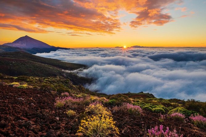 Teide 1/2 Day - Value for $59.41: what you pay for, and what you still need to cover