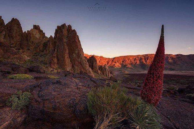 Teide 1/2 Day - Tips to make the most of your Teide time