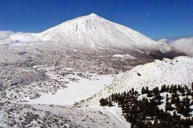 Teide 1/2 Day - Getting there comfortably: why private pickup matters on Tenerife