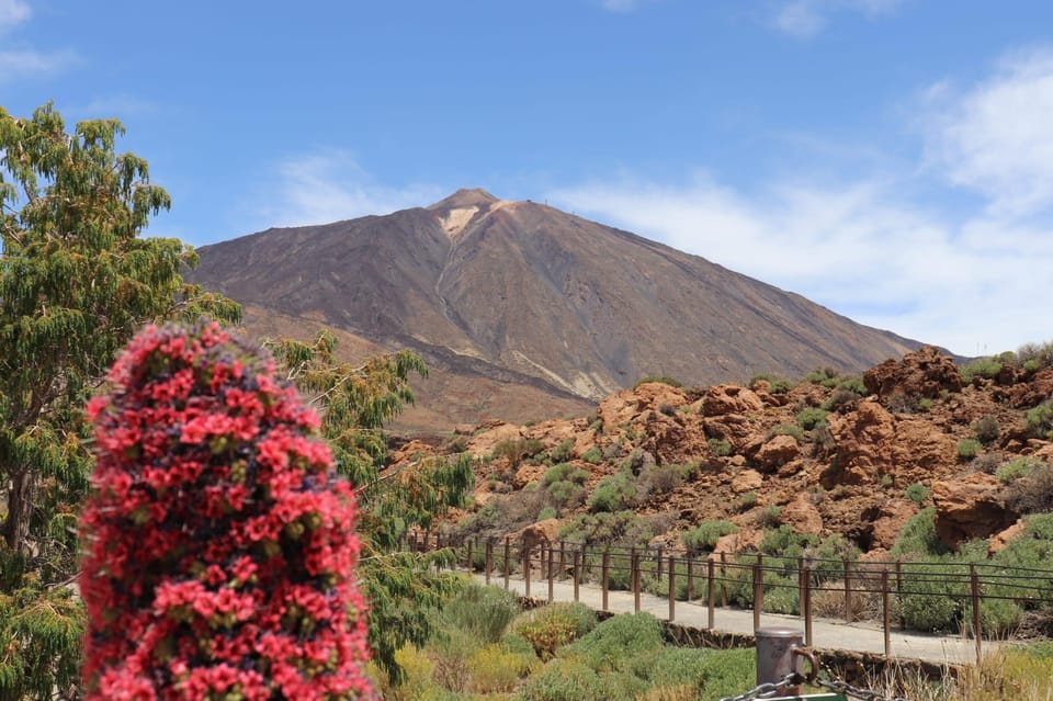 Teide National Park and Vilaflor ; local wine tasting - The return viewpoints and the pine forest pause
