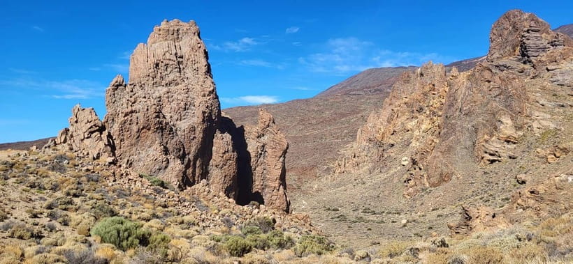 Teide National Park and Vilaflor ; local wine tasting - South Tenerife pickup: the minute details that make or break a tour