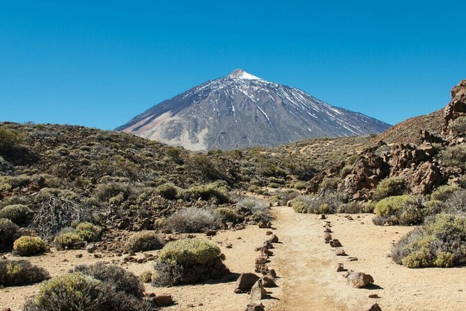 Teide National Park Full Experience with Professional Guide - Minas de San José: golden gravel, twisted ochre rocks, and lava flows