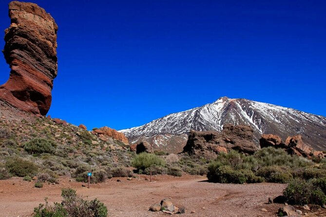 Teide National Park Full Experience with Professional Guide - Stop 1: El Pino Gordo, the giant Canary Island pine