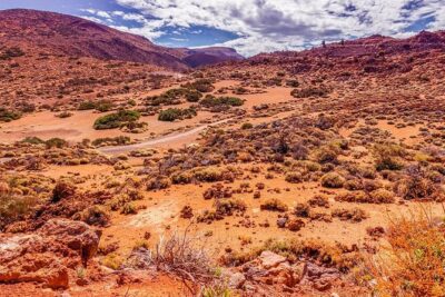 Teide National Park Half Day Tour with Hotel Pick up - Inside Teide National Park: Roques de Garcia and Pico Viejo Stops