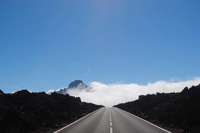 TEIDE NIGHT Astronomy Stargazing Bus Tour, Meal & Drinks included! - Who this Teide night tour fits best
