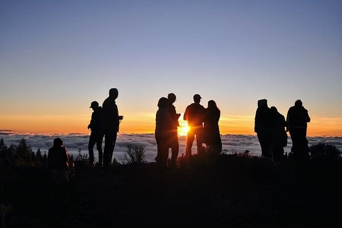 TEIDE NIGHT, Stargazing Bus Tour, Meal & Drinks included! - Who should book this Teide Night tour (and who should think twice)