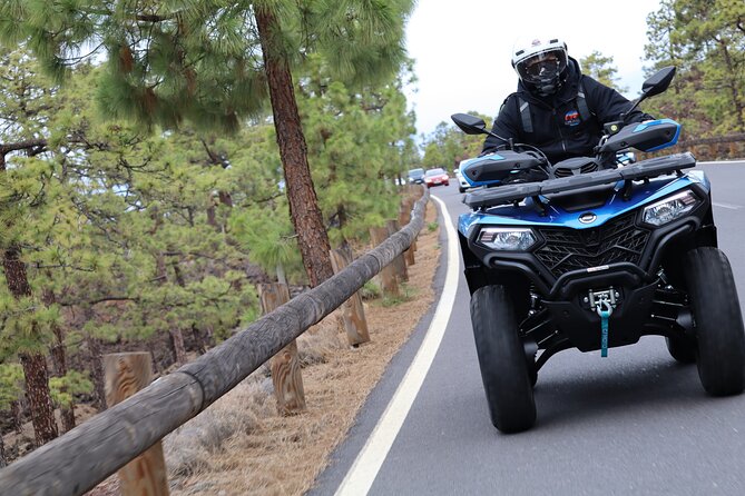 Teide Quad Volcanic Tour Teide National Park - The Ride’s Real Value: Photos, Panoramas, and Tapas That Feel Like a Finish Line