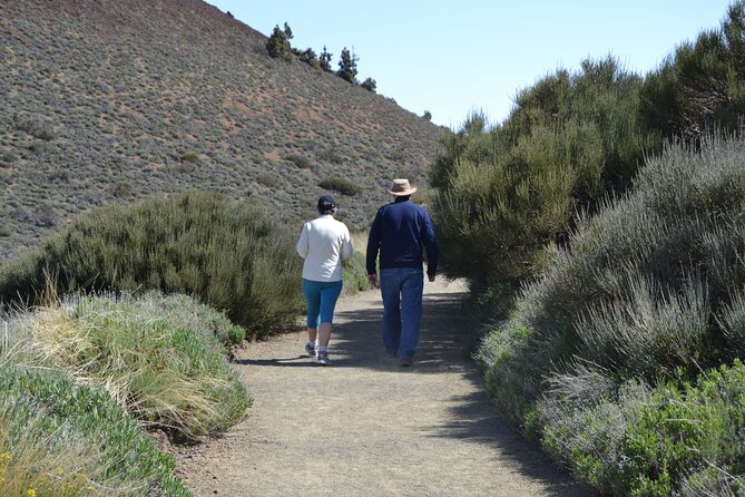 TEIDE: VIP tour - Portillo Alto: coffee break with Barraquito and options