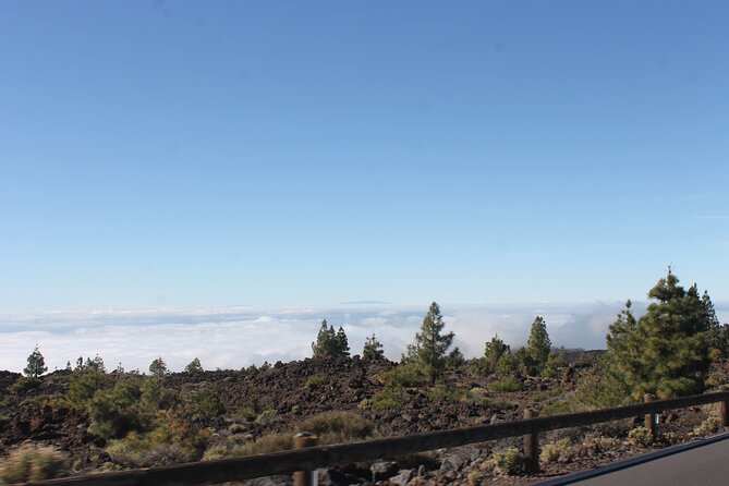 Teide Volcano National Park Quad Biking Tour - Who should book this quad tour (and who should skip it)