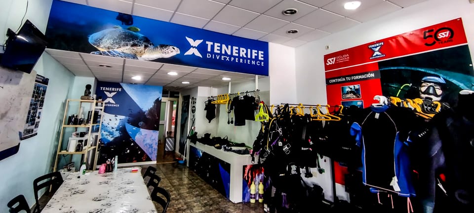 Tenerife: 2-Dive Private Scuba Discovery Course - Meeting at Scuba Point, gear setup, and what to bring