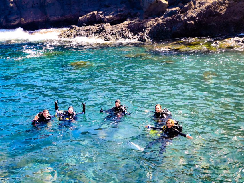 Tenerife: 2-Dive Private Scuba Discovery Course - Your two underwater sessions: skills first, then real marine life
