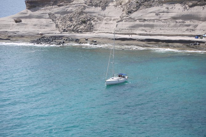 Tenerife 3-Hour Discover Whales and Dolphins - 10:30 or 13:30 departures: how the timing plays with Tenerife