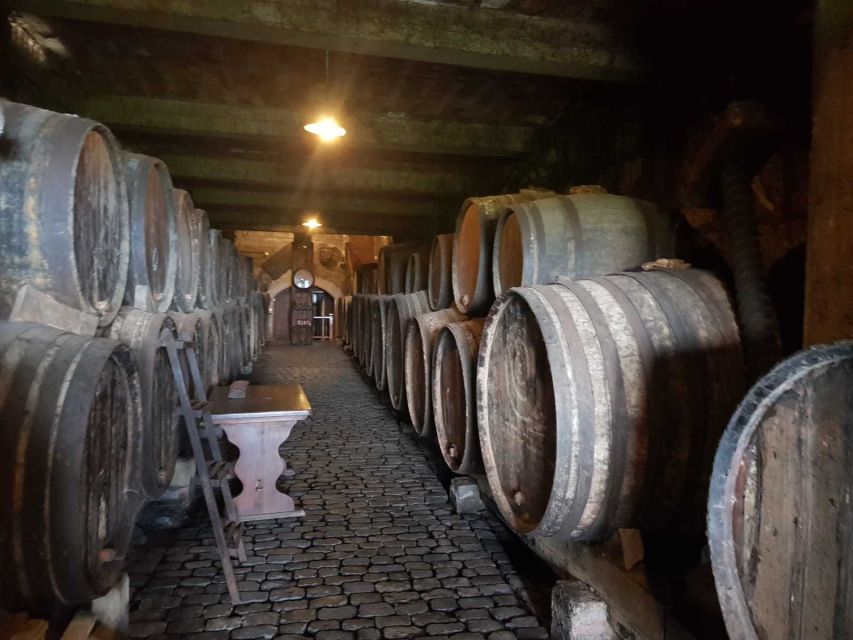 Tenerife: 4-Hour Gauchinche Food Tour - Your Guide Makes the Difference (Miriam, Belén, Jhonny…)