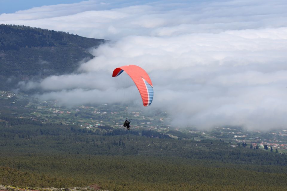 Tenerife: Acrobatic Paragliding Tandem Flight - Should you book this acrobatic tandem paragliding flight in Tenerife?