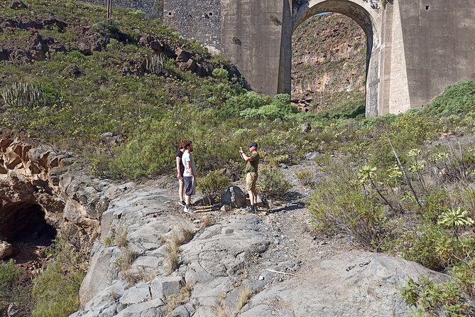 Tenerife Alternative Tour. Arico, Güímar, Fasnia- photos included - Should you book this day in Arico, Güímar, and Candelaria?