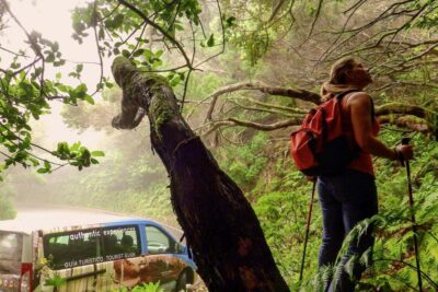 Tenerife: Anaga Rural Park Private Tour - The start in San Andrés: fishing-village energy and an easy momentum shift