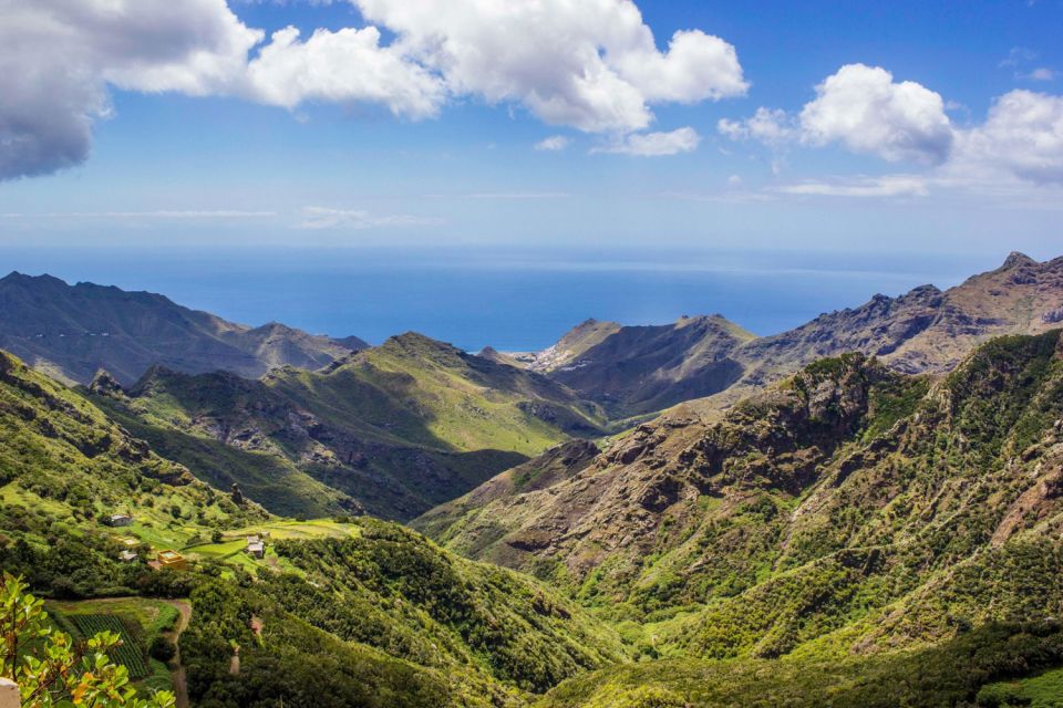 Tenerife: Anaga Rural Park Private Tour - The Anaga Mountains hike: short, on purpose, and timed for views