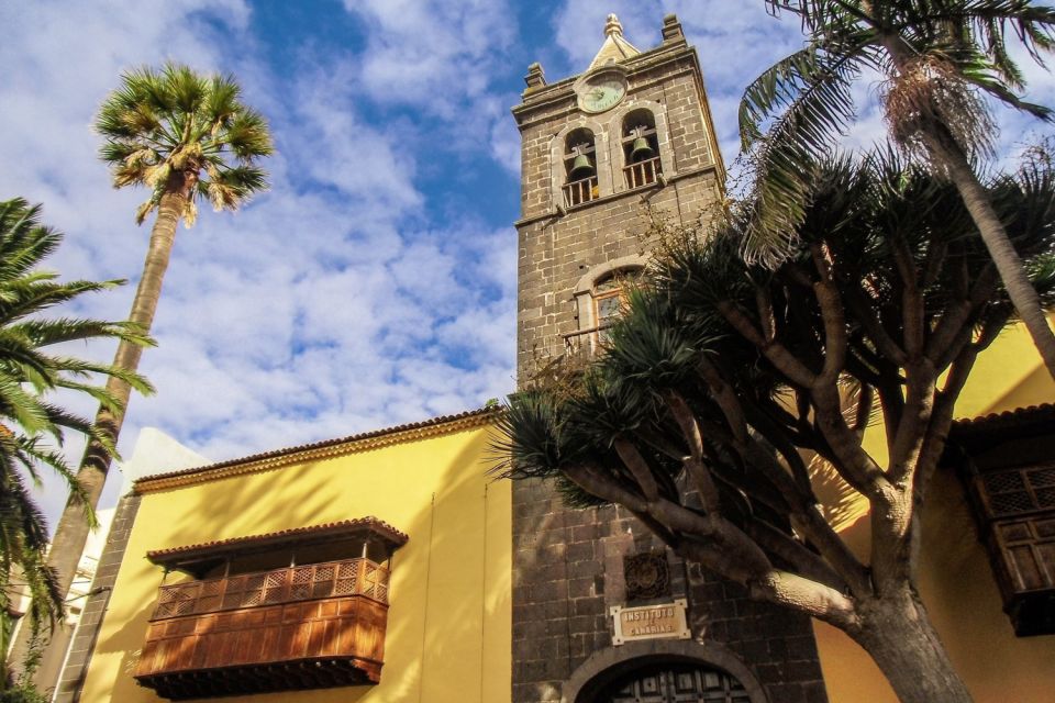 Tenerife: Anaga Rural Park Private Tour - The cliff viewpoint moment: volcanic drop-offs you can feel