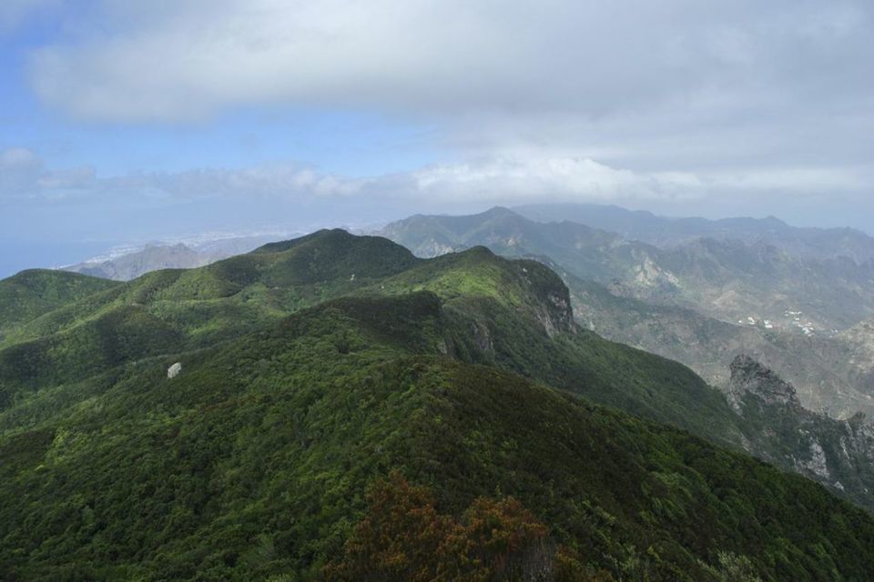 Tenerife: Anaga UNESCO VIP TOUR - Pickup in Santa Cruz and La Laguna: The Smooth Start You’ll Appreciate