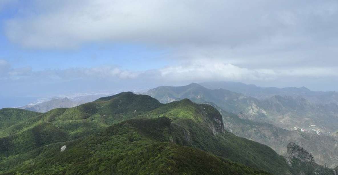 Tenerife: Anaga UNESCO VIP TOUR - Anaga UNESCO Biosphere Reserve: Laurel Forest Feel and Short Walk Payoffs