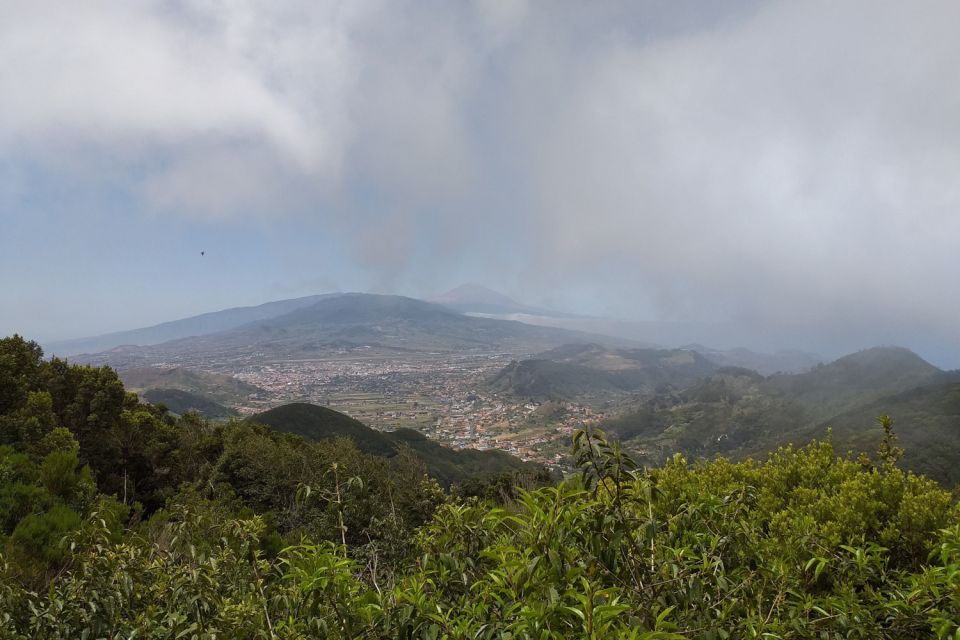 Tenerife: Anaga UNESCO VIP TOUR - How the Local Guide Changes the Day (Angel-Style Storytelling)