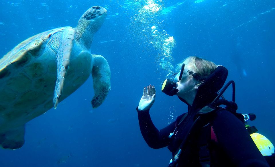 Tenerife: Beginners Scuba Dive Experience in Turtle Area - Who this is best for—and who should skip it