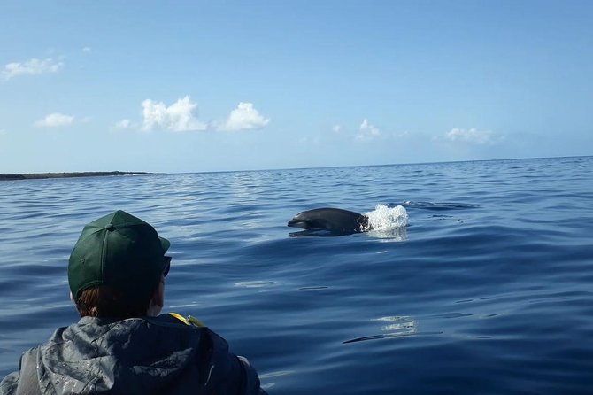 Tenerife by Kayak Adventure in small group - Montañas Guaza Stop: A Scenic Break in the Action