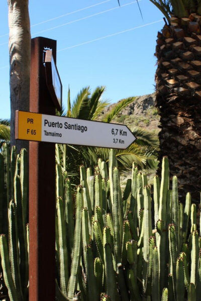 Tenerife : Camino Real hike - What You’ll Walk: Survival Roads Turned Into a Rocky Trail