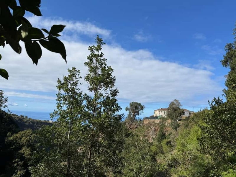 Tenerife: Canary History and Color Potatoes - Tenerife’s Potato Heritage Begins in Icod el Alto