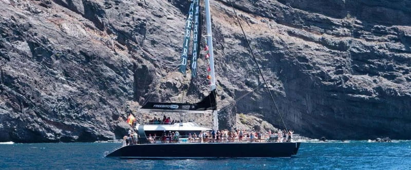 Tenerife: Catamaran Cruise with an Open Bar - Key Things That Matter On This Tenerife Catamaran Cruise