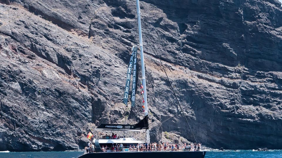 Tenerife: Catamaran Cruise with an Open Bar - Getting Picked Up in Southern Tenerife: What to Expect