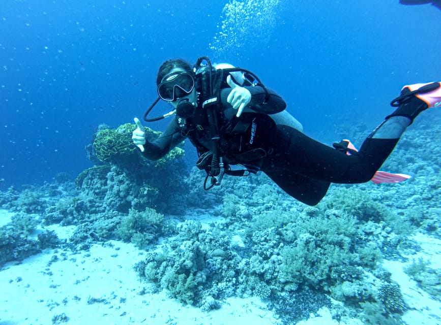 Tenerife - Discover Scuba Diving Experience with Instructor - Key highlights worth your attention