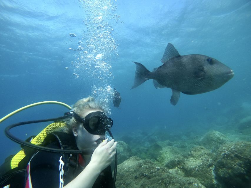 Tenerife : Diving License international in one day - From hotel pickup to first gear checks: your first hour