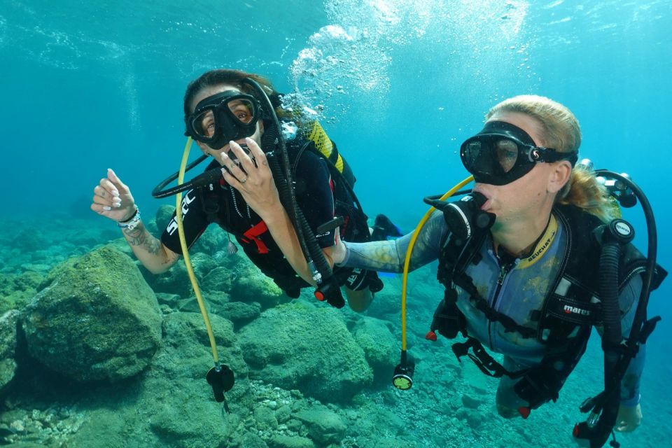 Tenerife : Diving License international in one day - Sand practice and safety basics that actually stick