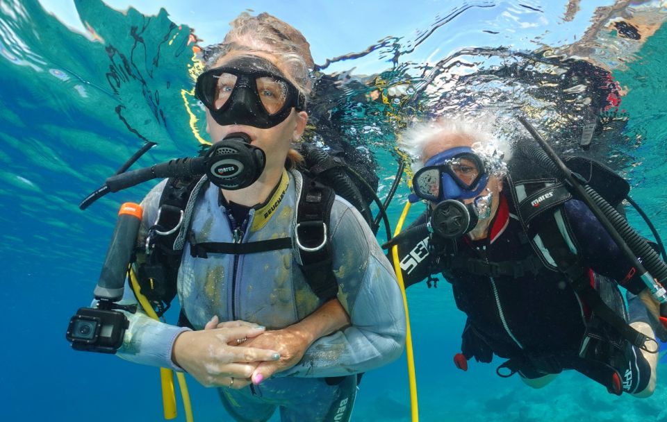 Tenerife : Diving License international in one day - Two water sessions off the beach and then in national park waters
