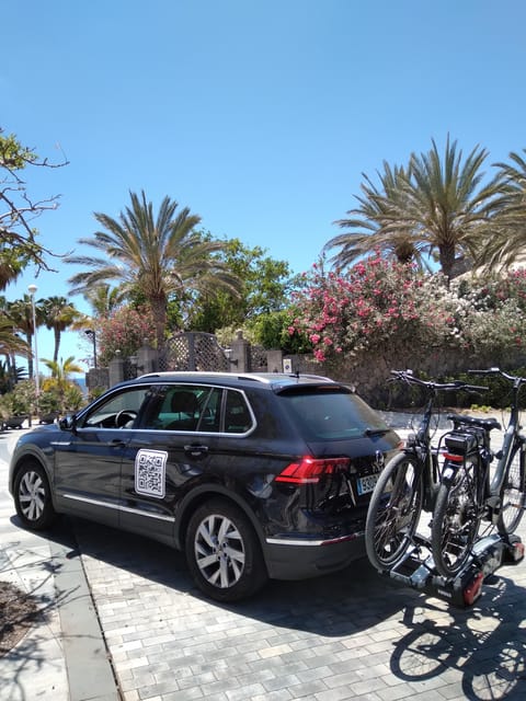 Tenerife: Electric Mountain Bike Rental with Hotel Delivery - Who this e-bike rental is best for