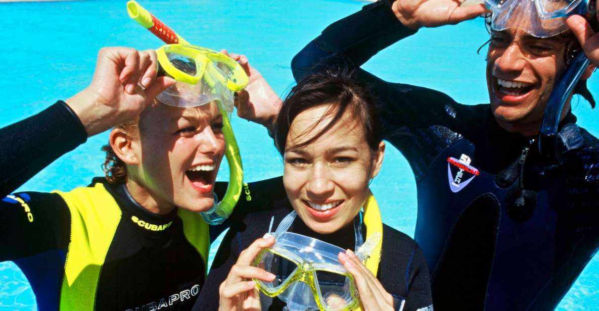 Tenerife Exclusive Snorkeling Trip with Marine Biologist - Key things that make this trip worth your time